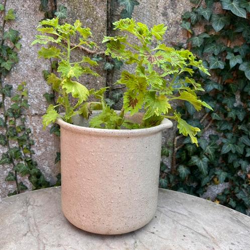 Vintage Cachepot bloempot grès BFK Boch 4, Antiek en Kunst, Antiek | Keramiek en Aardewerk, Ophalen of Verzenden