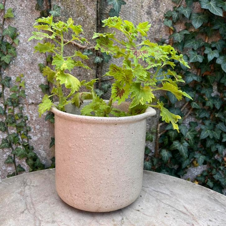 Vintage Cachepot bloempot grès BFK Boch 4, Antiek en Kunst, Antiek | Keramiek en Aardewerk, Ophalen of Verzenden