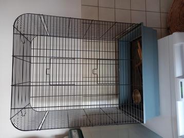 Vogelkooi beschikbaar voor biedingen