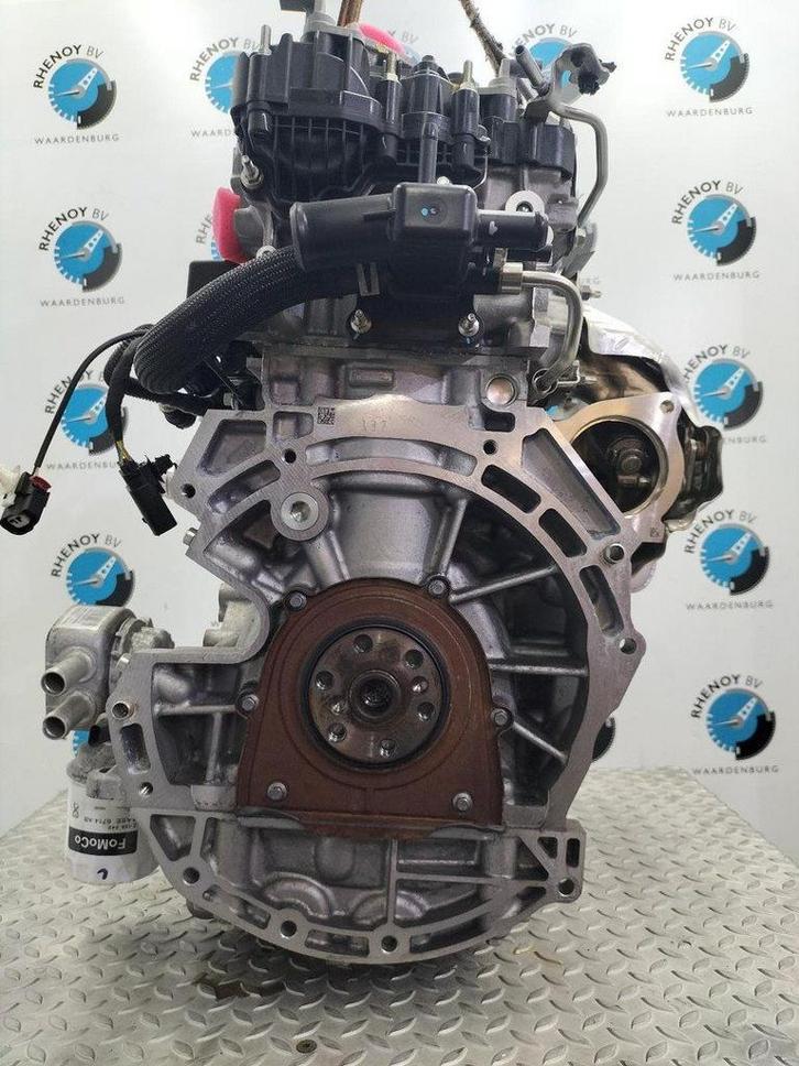FORD FOCUS [ENGINE] 2023, Auto-onderdelen, Motor en Toebehoren, Gebruikt, ARN erkend, Stiba lid, Erkend duurzaam, Ophalen of Verzenden