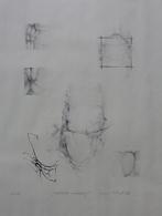 JACQUES 't KINDT / MEDITATIEVE VERZAMELING / LITHO / 70x50cm, Antiek en Kunst, Kunst | Litho's en Zeefdrukken, Ophalen of Verzenden