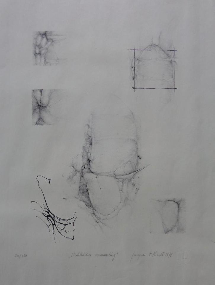 JACQUES 't KINDT / MEDITATIEVE VERZAMELING / LITHO / 70x50cm, Antiek en Kunst, Kunst | Litho's en Zeefdrukken, Ophalen of Verzenden