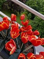 Lot de 24 bouquets de tulipes artificielles NOUVEAU, Maison & Meubles, Intérieur, Enlèvement ou Envoi, Neuf