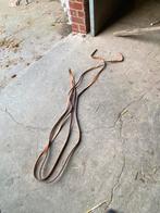 Longue renes, Dieren en Toebehoren, Ophalen of Verzenden, Zo goed als nieuw