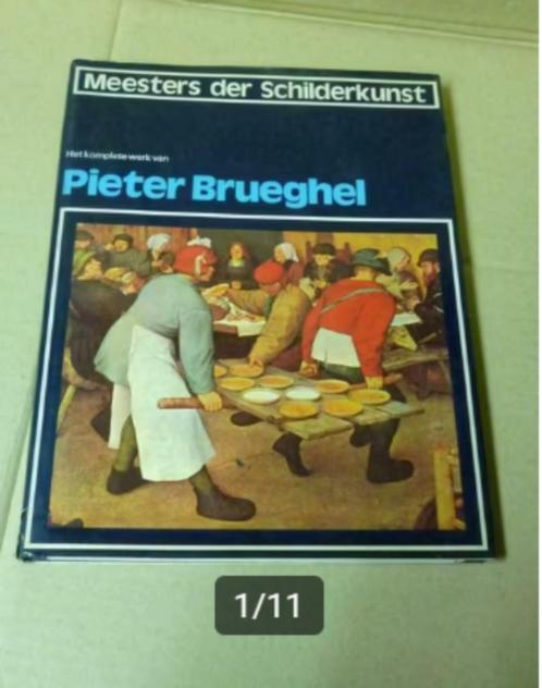 hardcover : PP Brueghel + 2de gratis, Boeken, Kunst en Cultuur | Beeldend, Zo goed als nieuw, Ophalen of Verzenden