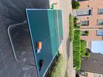 Tafeltennistafel met toebehoren, Sport en Fitness, Ophalen, Gebruikt, Wedstrijdformaat
