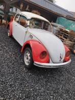 Cox, Particulier, Achat