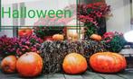 Echange article contre déco d'halloween, Hobby en Vrije tijd, Feestartikelen, Ophalen, Zo goed als nieuw, Feestartikel