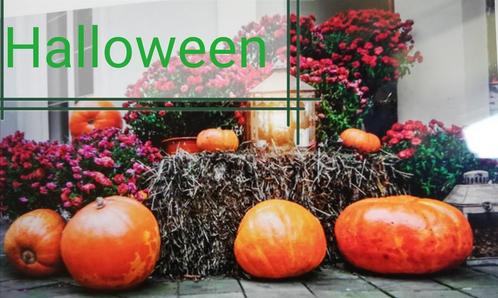 Echange article contre déco d'halloween, Hobby en Vrije tijd, Feestartikelen, Zo goed als nieuw, Feestartikel, Ophalen