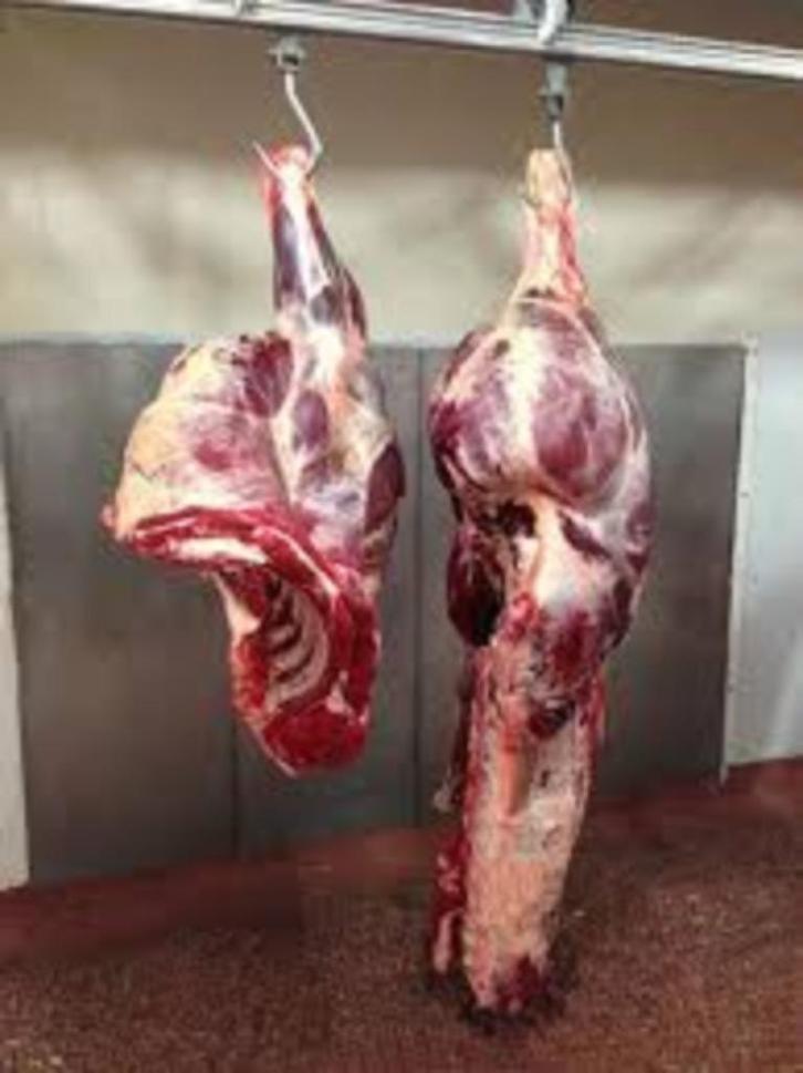 rund "halal te koop groothandel, Zakelijke goederen, Stock en Retail | Franchising, Wederverkoop en Distributie, Verzenden