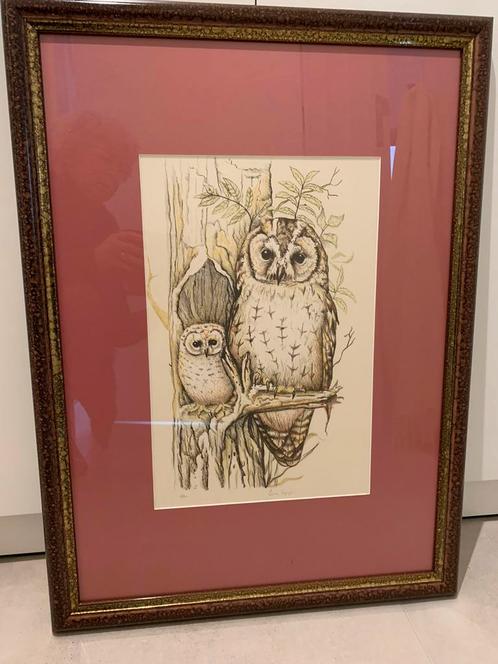 Zeefdruk ‘ Uil met jong ‘ door Erica Synja, Antiek en Kunst, Kunst | Litho's en Zeefdrukken, Ophalen of Verzenden