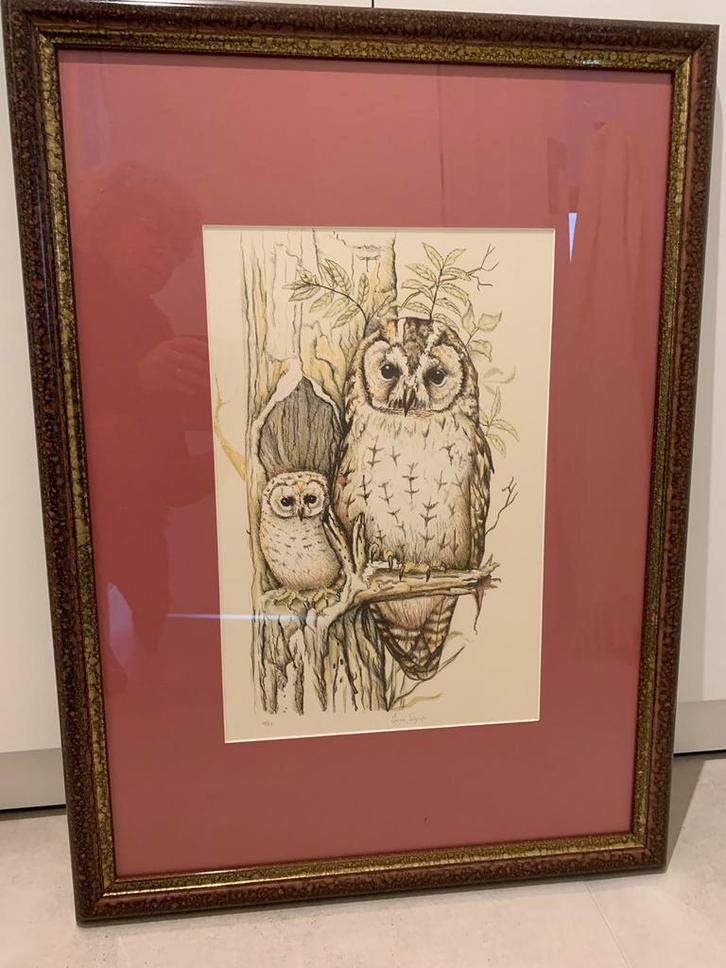 Zeefdruk ‘ Uil met jong ‘ door Erica Synja, Antiek en Kunst, Kunst | Litho's en Zeefdrukken, Ophalen of Verzenden