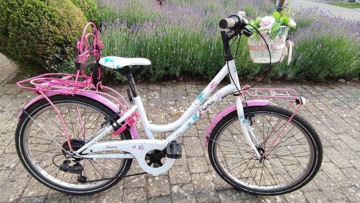Meisjesfiets roze 24 inch, Fietsen en Brommers, Fietsen | Meisjes, Zo goed als nieuw, 24 inch, Handrem, Versnellingen, Ophalen