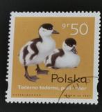 Polen 1997 - vogels - kuikens van watervogels, bergeend, Ophalen of Verzenden, Polen, Gestempeld