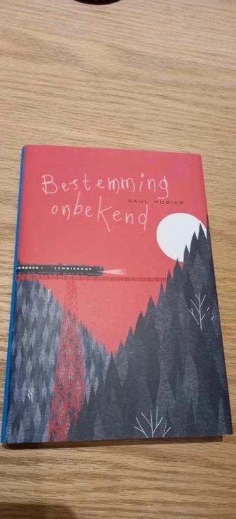 Boek : Bestemming Onbekend  ( Nieuw ), Livres, Livres pour enfants | Jeunesse | 13 ans et plus, Neuf, Enlèvement ou Envoi