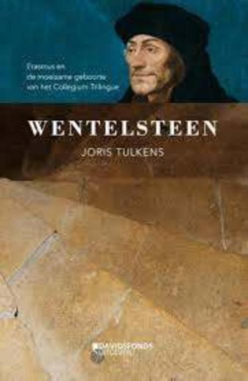 Wentelsteen|Joris Tulkens 9789059088726, Boeken, Historische romans, Zo goed als nieuw, Ophalen of Verzenden