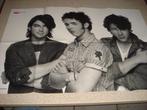 Poster Jonas Brothers/Sarah Chronis (ONM), Ophalen of Verzenden