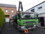 Camion porte container DAF FA CF75 (2008-272.284 km), Autos, Camions, TVA déductible, Achat, Autres couleurs, Autres carburants