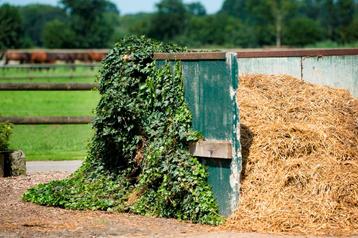 Gratis paardenmest binnenkort af te halen, Enlèvement, Fumier