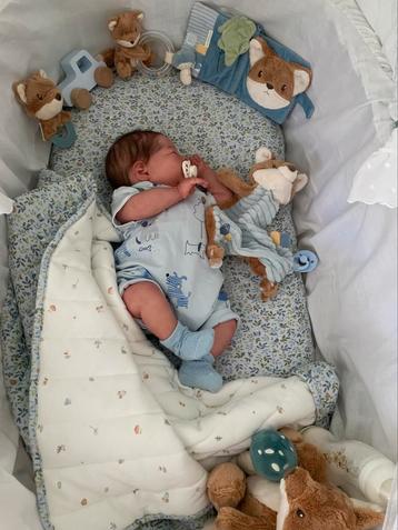 Reborn (realborn)baby Bryson met certificaten beschikbaar voor biedingen