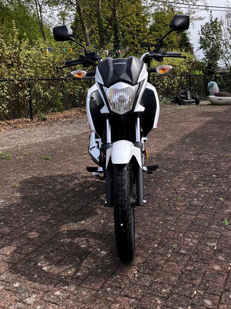 Honda CB 125F, Motos, Occasion, Particulier, 1 cylindre, 125 cm³