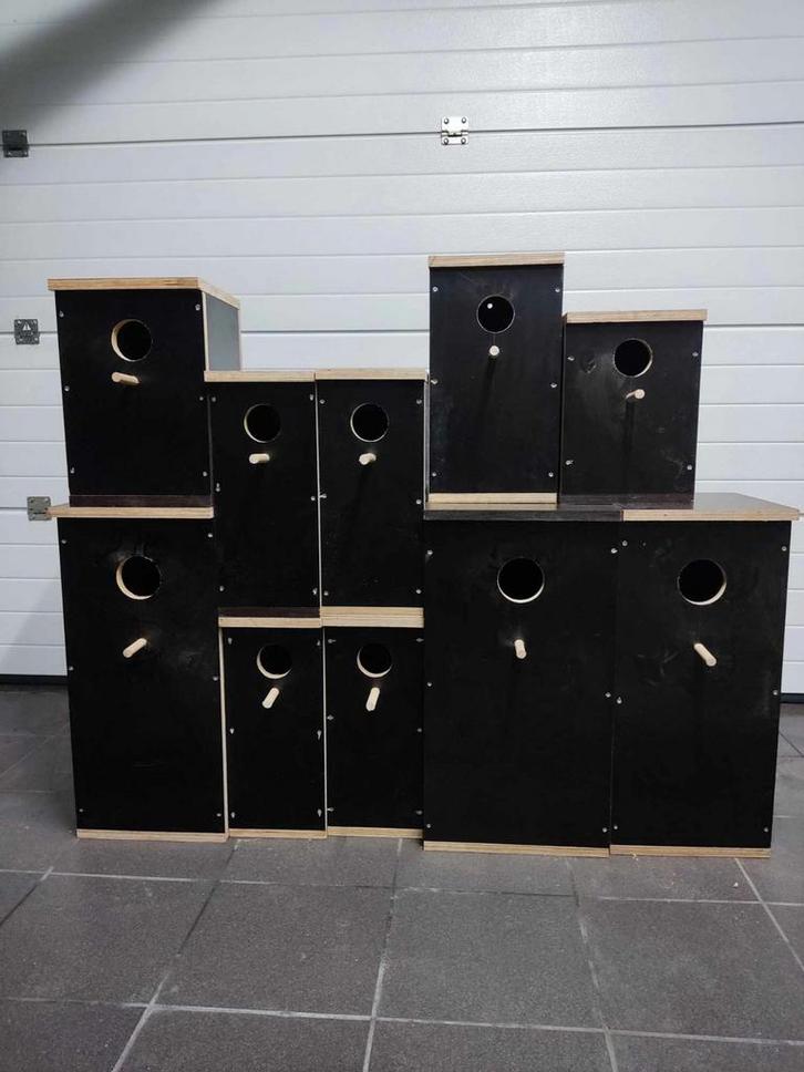 Broedblokken, Animaux & Accessoires, Oiseaux | Perruches & Perroquets