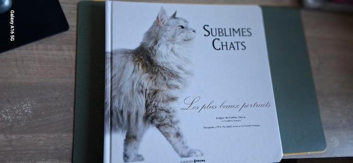 1 ALBUM AVEC PHOTOS SUR LES DIFFERENTES RACES DE CHATS., Collections, Collections Animaux, Neuf, Autres types, Chien ou Chat, Enlèvement