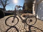 Giant fiets, Fietsen en Brommers, Fietsen | Dames | Damesfietsen, Ophalen, Giant, Versnellingen