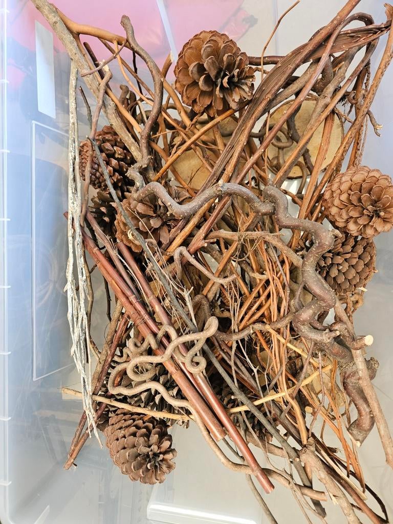 Herfstdecoratie - Gratis, Ophalen