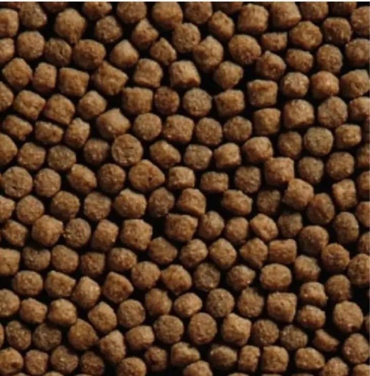 Nourriture pour koï Premium Grower 3/6 mm à prix spéciaux, Animaux & Accessoires, Poissons | Poissons d'étang, Carpe ou Koï