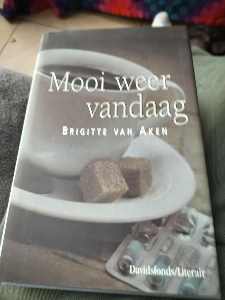 B. van Aken - Mooi weer vandaag, Ophalen of Verzenden, B. van Aken