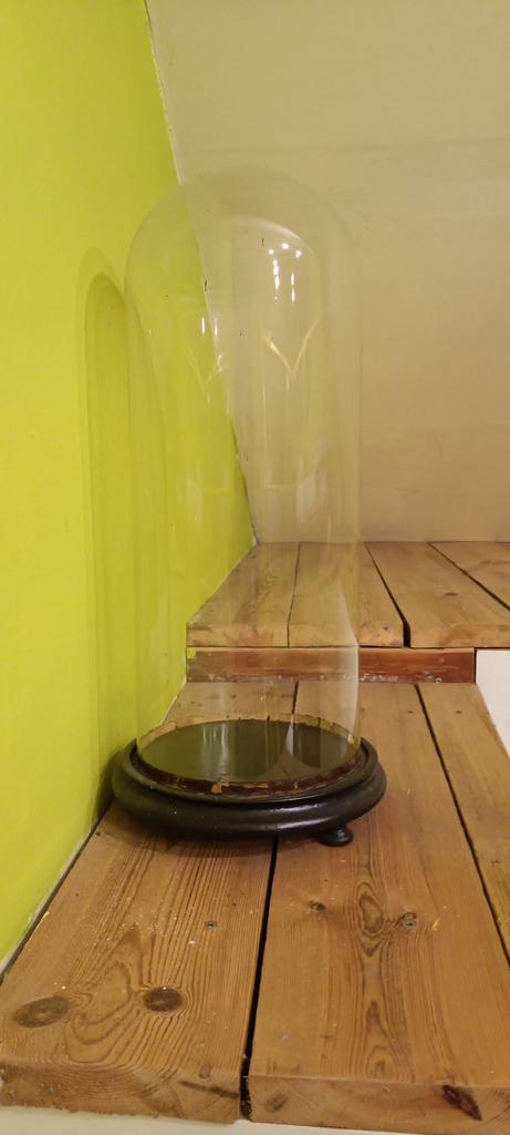 Cloche en verre, Enlèvement