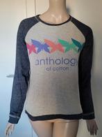 Trui'tje Anthology of Cotton maat M, Vêtements | Femmes, Pulls & Gilets, Enlèvement ou Envoi, Taille 38/40 (M)