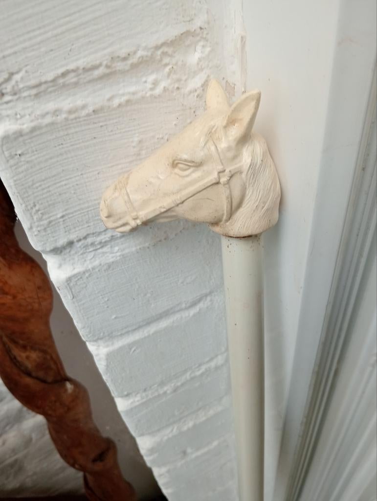 Canne blanche ( cheval, Divers, Bâtons de marche, Enlèvement ou Envoi