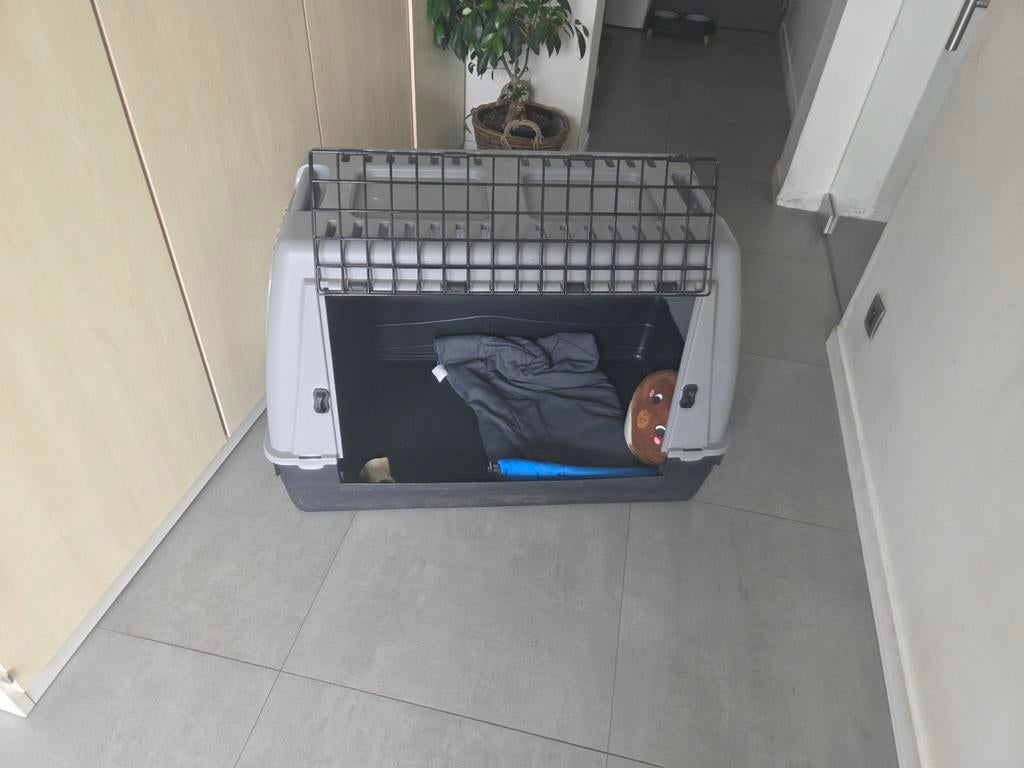 Reisbench hond, Ophalen