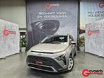Hyundai Bayon, Auto's, Hyundai, Bedrijf, Handgeschakeld, 5 deurs, Zilver of Grijs