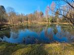 Terrain en zone naturelle boisée avec étangs et chalet, Immo, Sainte-cécile, 1500 m² ou plus