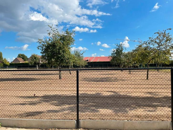 Inzaaien van gras, Jardin & Terrasse, Gazon & Gazon artificiel, Comme neuf, Herbe, Enlèvement ou Envoi