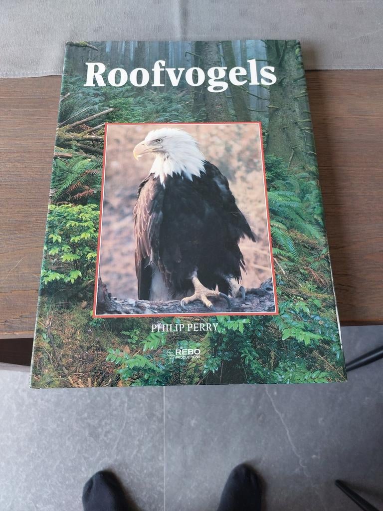 Livres sur les oiseaux de proie et les hiboux, Enlèvement