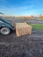 Hooi te koop, Enlèvement