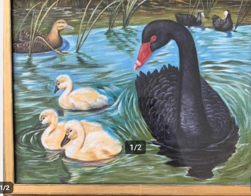 Zwarte zwaan geschilderd op zijde, Antiek en Kunst, Ophalen