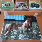 lot posters 45 stuks, Enlèvement, Neuf