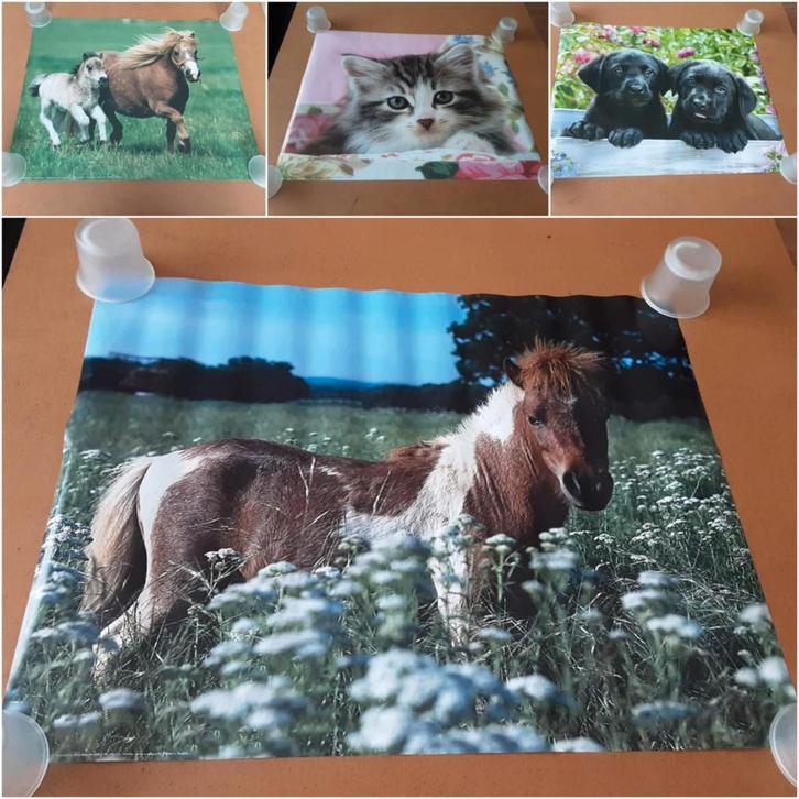 lot posters 45 stuks, Verzamelen, Posters, Nieuw, Ophalen