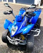 Quad Maxxer 300, Motos, Quads & Trikes, 1 cylindre, 300 cm³, 12 à 35 kW