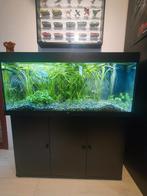 Aquarium Juwel 240L, Dieren en Toebehoren, Ophalen, Zo goed als nieuw