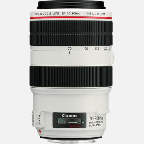 Canon EF 70-300mm f/4-5.6 L IS USM, Audio, Tv en Foto, Foto | Lenzen en Objectieven, Gebruikt, Telelens, Zoom, Ophalen