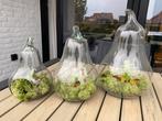 Drie decoratie glazen peren, Huis en Inrichting, Woonaccessoires | Vazen, Ophalen, Zo goed als nieuw