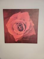 Canvas roos, Enlèvement, Comme neuf