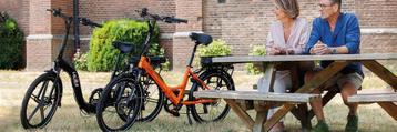 Gezocht 1 of 2 Electrische vouwfiets(en) beschikbaar voor biedingen