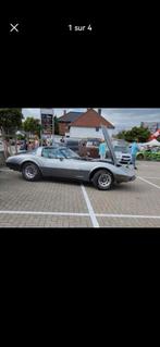 Corvette c3, Auto's, Chevrolet, Corvette, Grijs, Particulier, Te koop
